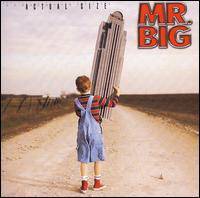 Mr Big : Actual Size